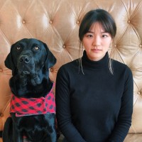 Cece Chieng Email