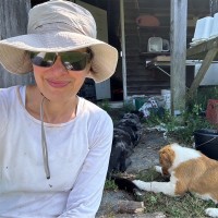 Cisco Employee Heather Collins's profile photo