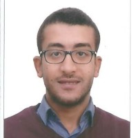 Essam Fawaz Email