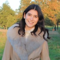 Merve Ileri Email