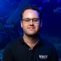 Merlin Entertainments Employee Harry Whitestone's profile photo