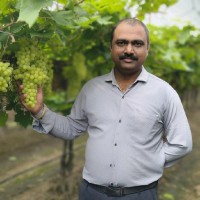 Nitin Kshirsagar Email & Phone Number