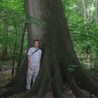 Matt Strong Email