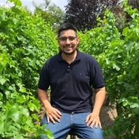 BODEGA ARGENTO S.A. Employee Fernando Gatica's profile photo