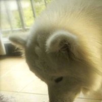 Eyebuydirect Employee Ammily Chen's profile photo