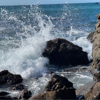 Meaghan D. Email & Phone Number