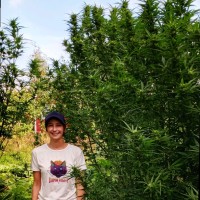 Figr Employee Amanda Holm's profile photo