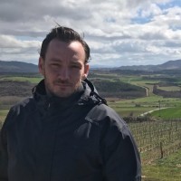 The Wine Syndicate Employee Scott Adair's profile photo