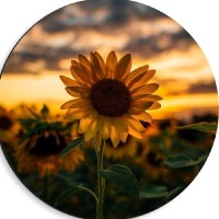 EDRAK Software Employee Saadia Ahmed's profile photo