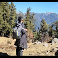 Infosys Employee Mayur Singhal's profile photo