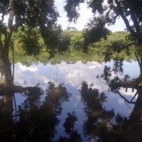 Odiley Oliveiras's profile photo