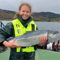 Matilda Lomas Email