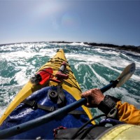 Squar Milner Employee Deborah Kaminski's profile photo