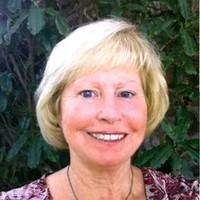 Susan Henderson Email & Phone Number