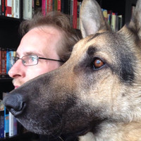 Woodraven Dire BV Employee David Walgrave's profile photo