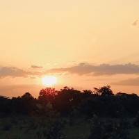 Ajmera Infotech Inc. Employee William White's profile photo