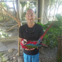 Matthew Guzzi Email & Phone Number