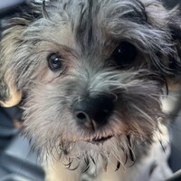 Christopher Spanos Email & Phone Number