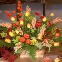 A Finishing Touch Employee Lisa Wootan's profile photo