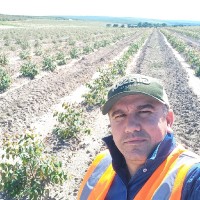 Girassol Agrícola Employee Elisson Silva's profile photo