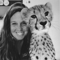 Shelly Stecklow Email & Phone Number