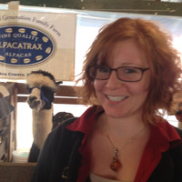 Silvermine Arts Center Employee Kelly O'Sullivan's profile photo