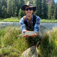 Andrew Bach Email & Phone Number
