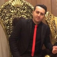 Vista Best Employee Masoud Nosrati's profile photo