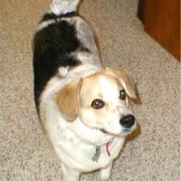 Intus Technologies Employee Kenneth Bush's profile photo