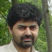 Pedasys Employee Seyyed Havaeji's profile photo