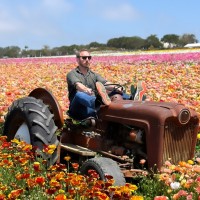 Le Truc Employee Filip Williander's profile photo