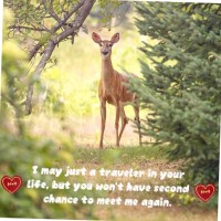 Por Chhuor Email & Phone Number