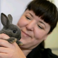 BC SPCA Employee Jacqueline Hall's profile photo