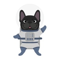 Qode Space Employee Development's profile photo