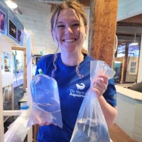 Adventure Aquarium Employee Haley Beck's profile photo