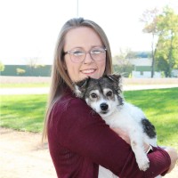 Mandy Krautkremer Email