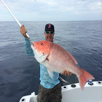 Greg Labbe Email & Phone Number