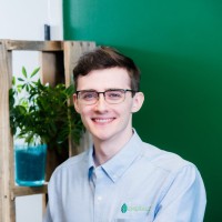 Emerald Built Environments Employee David Whalen's profile photo