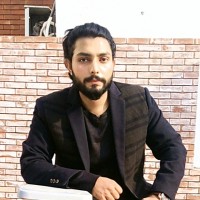 Explore Logics IT Solutions Employee Muhammad Hamza's profile photo