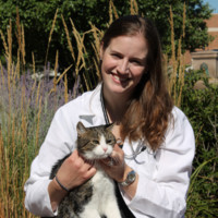 Elizabeth Farrington Email & Phone Number