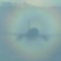 Niki Luftfahrt GmbH Employee Dirk Leismann's profile photo