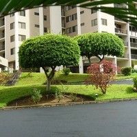 dynastyexpress Employee Stephen Ha's profile photo