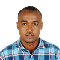 Ibrahim Anshur Email