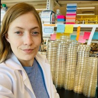 Emily Warp's profile photo