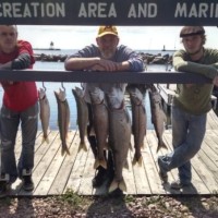 CES Imaging Employee Greg Roesler's profile photo