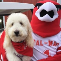 PALMYRA-MACEDON CENTRAL SCHOOL DISTRICT Employee Kathryn Crane's profile photo