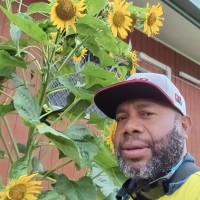 Quest Exploration Drilling (PNG) Limited Employee Willie Ngawi's profile photo