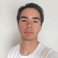 Hércules Silva Email