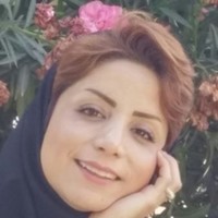 Somayeh Hasheminasab Email