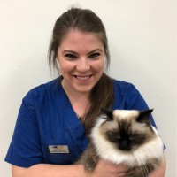 Vetwest Animal Hospitals Employee Sarah Martin's profile photo